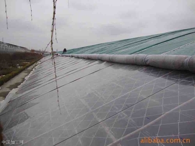 供應(yīng)潤(rùn)青PO膜(一潤(rùn)精品)生產(chǎn)廠家——青州市一潤(rùn)農(nóng)膜廠與電子科技的融合創(chuàng)新